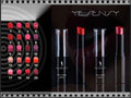 Everlasting Lipstick